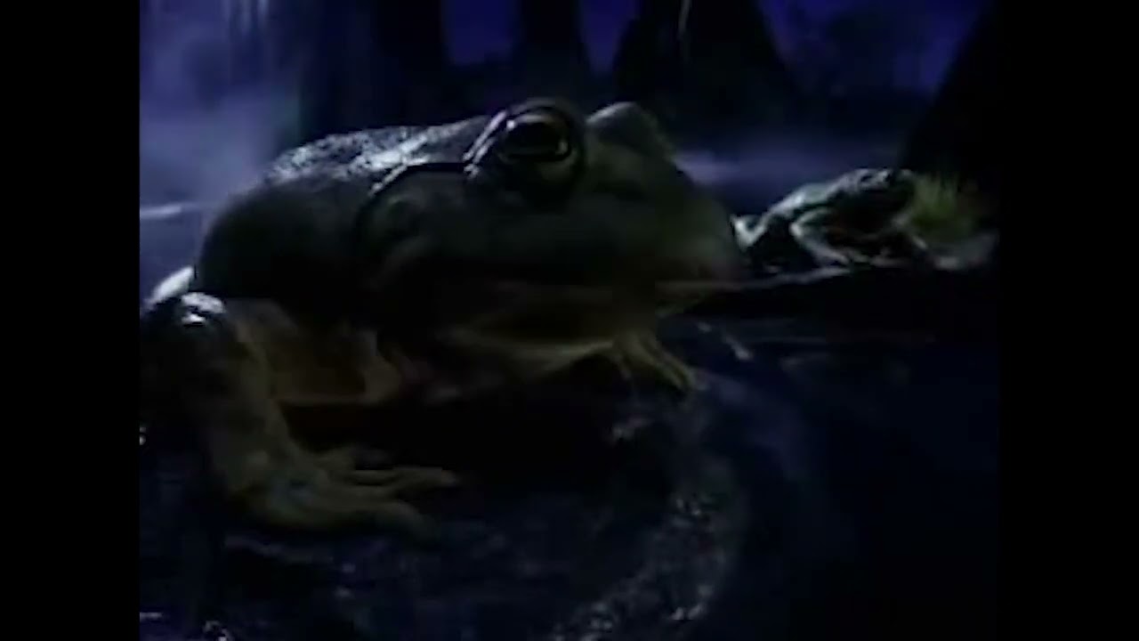 BUDWEISER: Frogs (Super Bowl) (Best Beer Ads of All Time) - YouTube