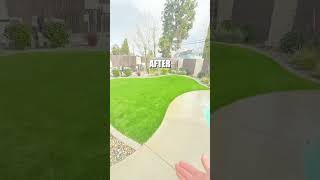 Celebrity Transforming this yard from patchy to perfect in one day! #turfinstallation #turf #landscape Wealth
