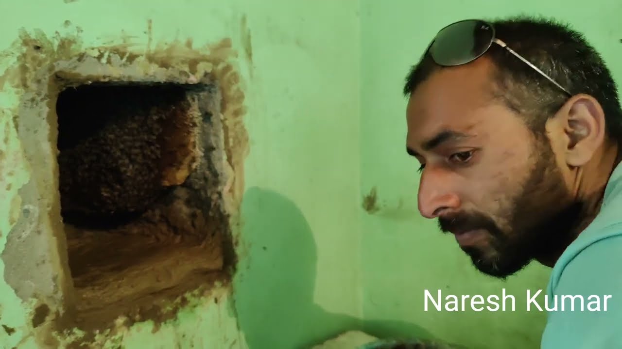 Honey harvesting and Beekeeping In  tungal valley kotli mandi#apisceranaindica #bee #how #its #trap