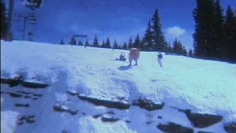 Spring Back to Vail 2010