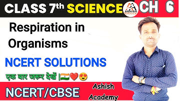 Chapter 6 Class 7 Science NCERT Solutions|Respiration in Organisms| Cl.7 Science |@ashishacademy515