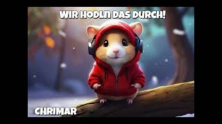 WIR HODLN DAS DURCH 💎 (Lofi Trading Beat)