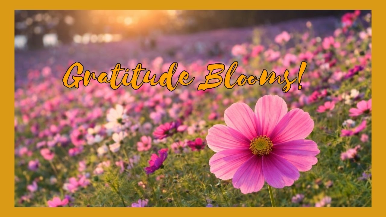 Gratitude 🌸 A Poem by Edgar Albert Guest | Sunset Cosmos Field