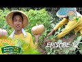 Ani at Kita sa Agrikultura: Outstanding Young Farmer from Mayantoc, Tarlac | Episode 12