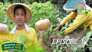 Ani at Kita sa Agrikultura: Outstanding Young Farmer from Mayantoc, Tarlac | Episode 12