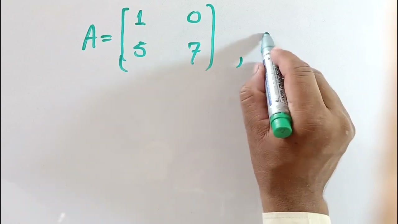 6 example on dimension of a matrix, equality of two matrices explanation maths class 9th kpk 