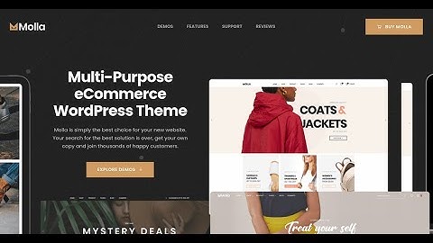Molla - Multifunctioneel WooCommerce-thema | Beste minimalistische e-commerce WordPress-thema
