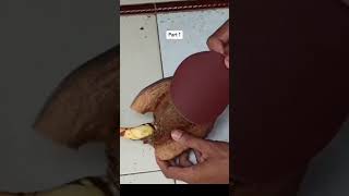 The easy way to make a coconut bonsai Part 1 #bonsaikelapa #coconutbonsai #shortvideo