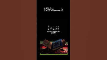 القرآن الكريم _أجر لي ولكم _أكتب شيء تؤجر عليه #🌿🤍🌹