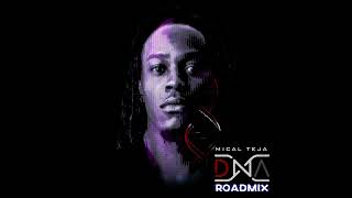 Mical Teja - DNA (Official NMG Road Mix)