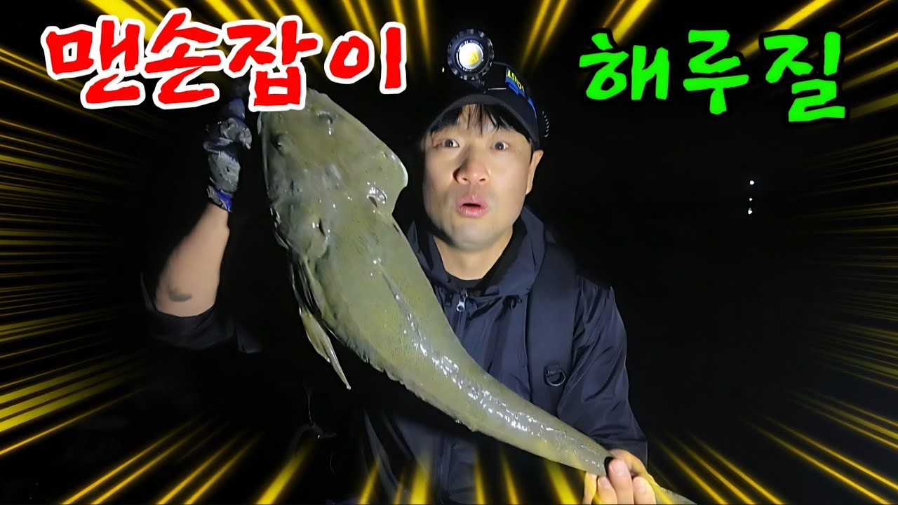 인천앞바다 밀려나간 갯벌사이 난리법석 잡는것