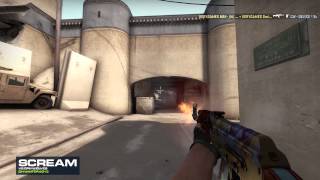 DHW13: CSGO CPH Wolves vs VeryGames Highlights