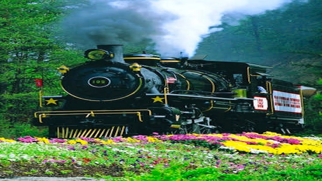 Dollywood Express Train Baldwin Steam 192 YouTube