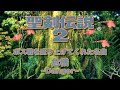【聖剣伝説2】危機 〜Danger〜 ボス戦を盛り上げてくれた名曲