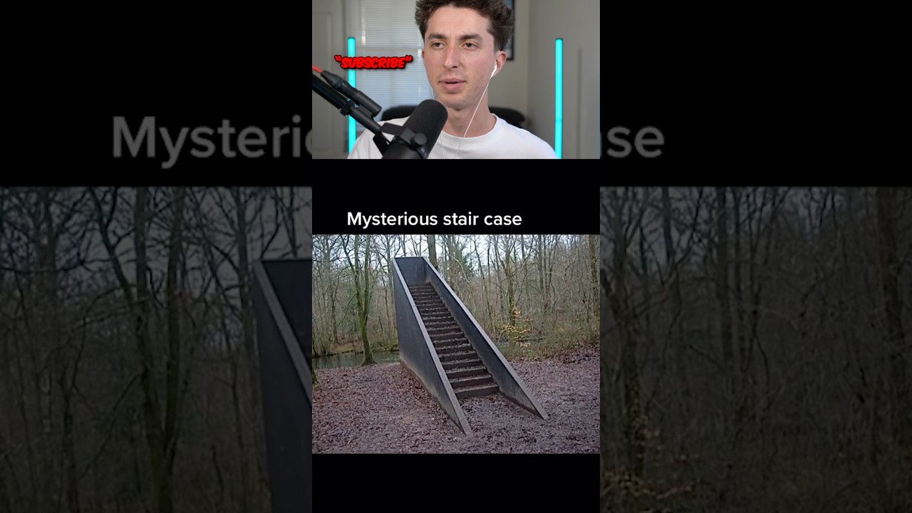 forest scary things 🤯😱🤯