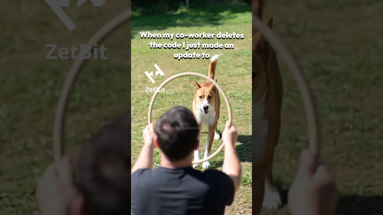 When my co worker deletes the code I just made an update to #programmer #coding #codinglife