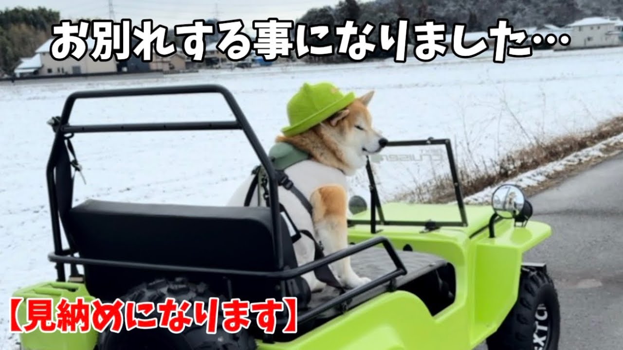 【報告】これが最後の見納めになりそうです…