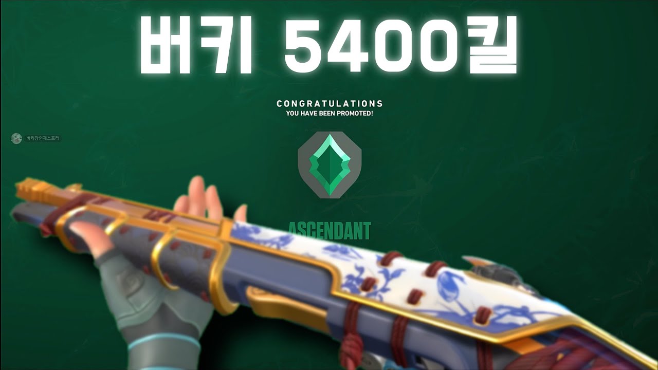 제트버키로 초월까지..