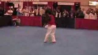 Team Ryouko Demonstration