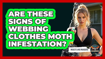 Are These Signs Of Webbing Clothes Moth Infestation? - Insects and Invaders