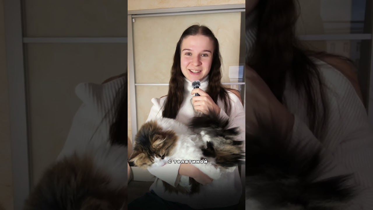 Смотри описание