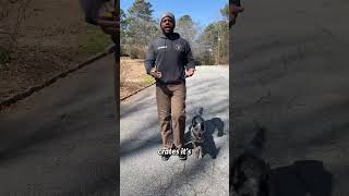 Nothing Worse Than A Dog That Pees Everywhere, Including Inside.. Curb Marking Asap With Your Leash