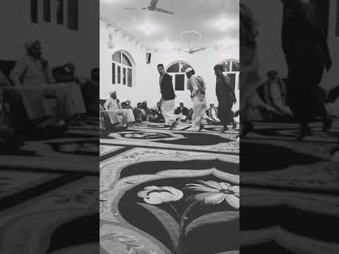 زواج السادة آل الهدار 