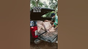 Đất sạch ngũ sắc tâm linh phong thuỷ bốc mộ hạ huyệt sang cát hoàn long mạch bát tràng tinh vân