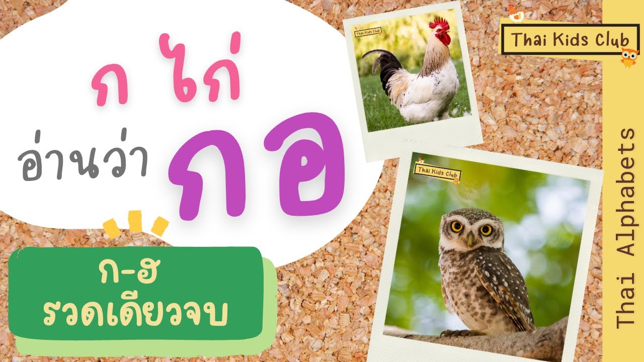 EP2 *ใหม่* ฝึกอ่าน ก ไก่ อ่านว่า กอ รวดเดียวจบ ~ Phonics for Thai Alphabets (remake - 44 alphabets)