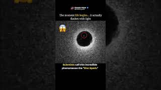 The Moment Life Begins… It Flashes With Light! 😱#shorts #trending #viral #space #moon #cosmos #earth