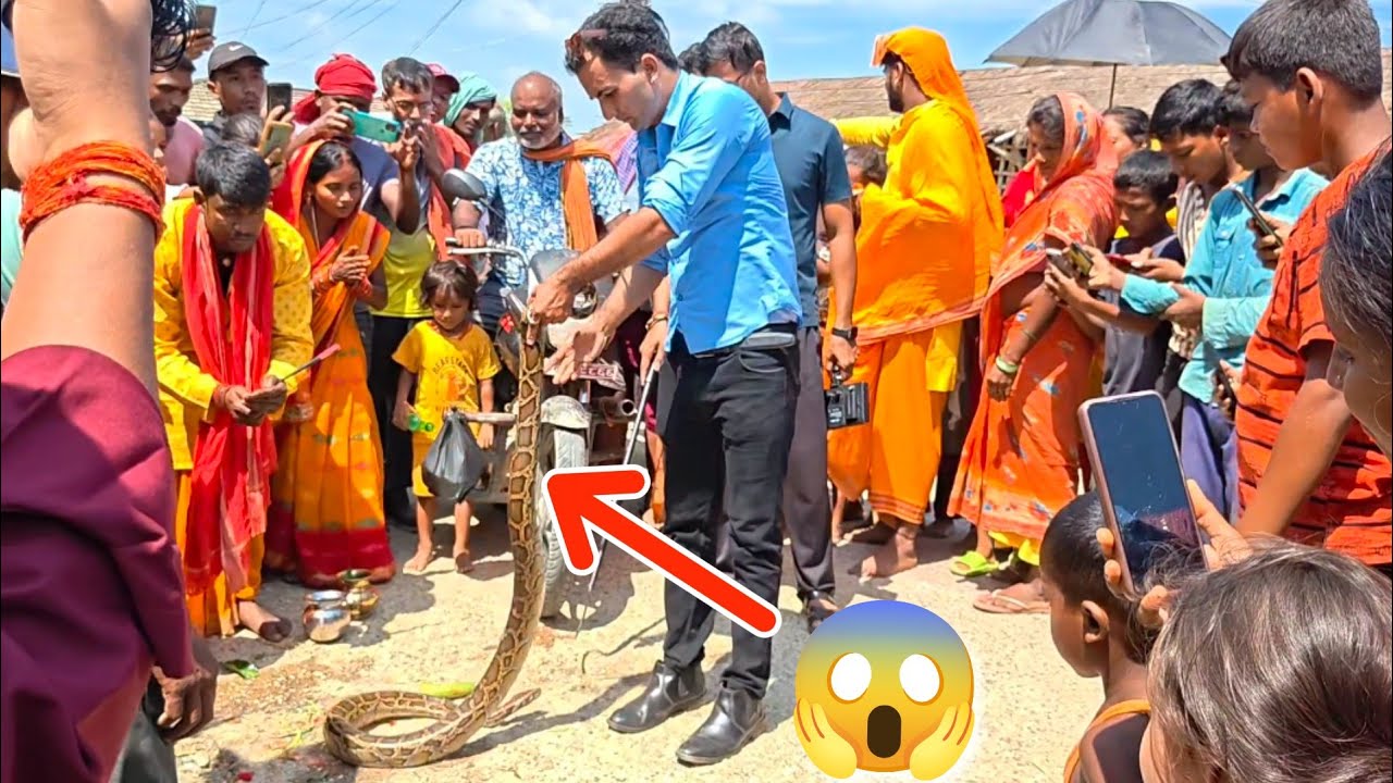 🐍 Ajingar Rescue in Nepal 😱 यस्तो ठुलो सर्प पहिले कहिल्यै देखिएको थिएन ...