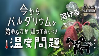 今からパルダリウムを始める為に知っておくべき温度について