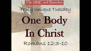 One Body In Christ_The VINE and Branches