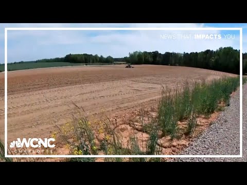 The history of extreme droughts in the Carolinas - YouTube