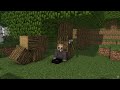 A New Beginning and A broken Base(update video)