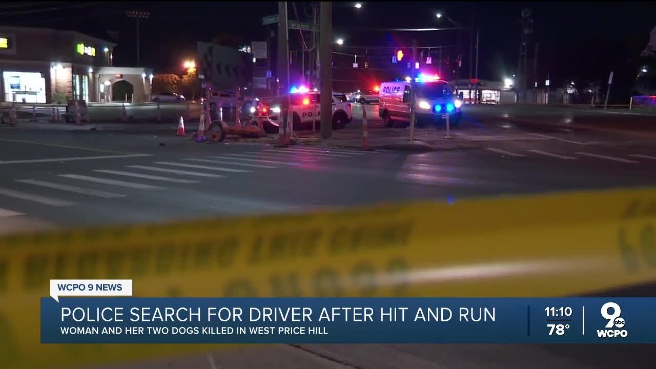 Police search for driver who hit, killed woman walking dogs - YouTube