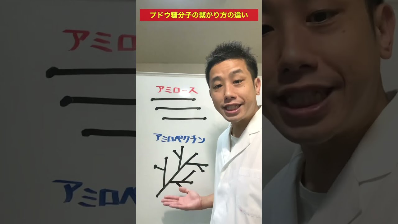 Q：うるち米ともち米の違いを教えて下さい#shorts - YouTube