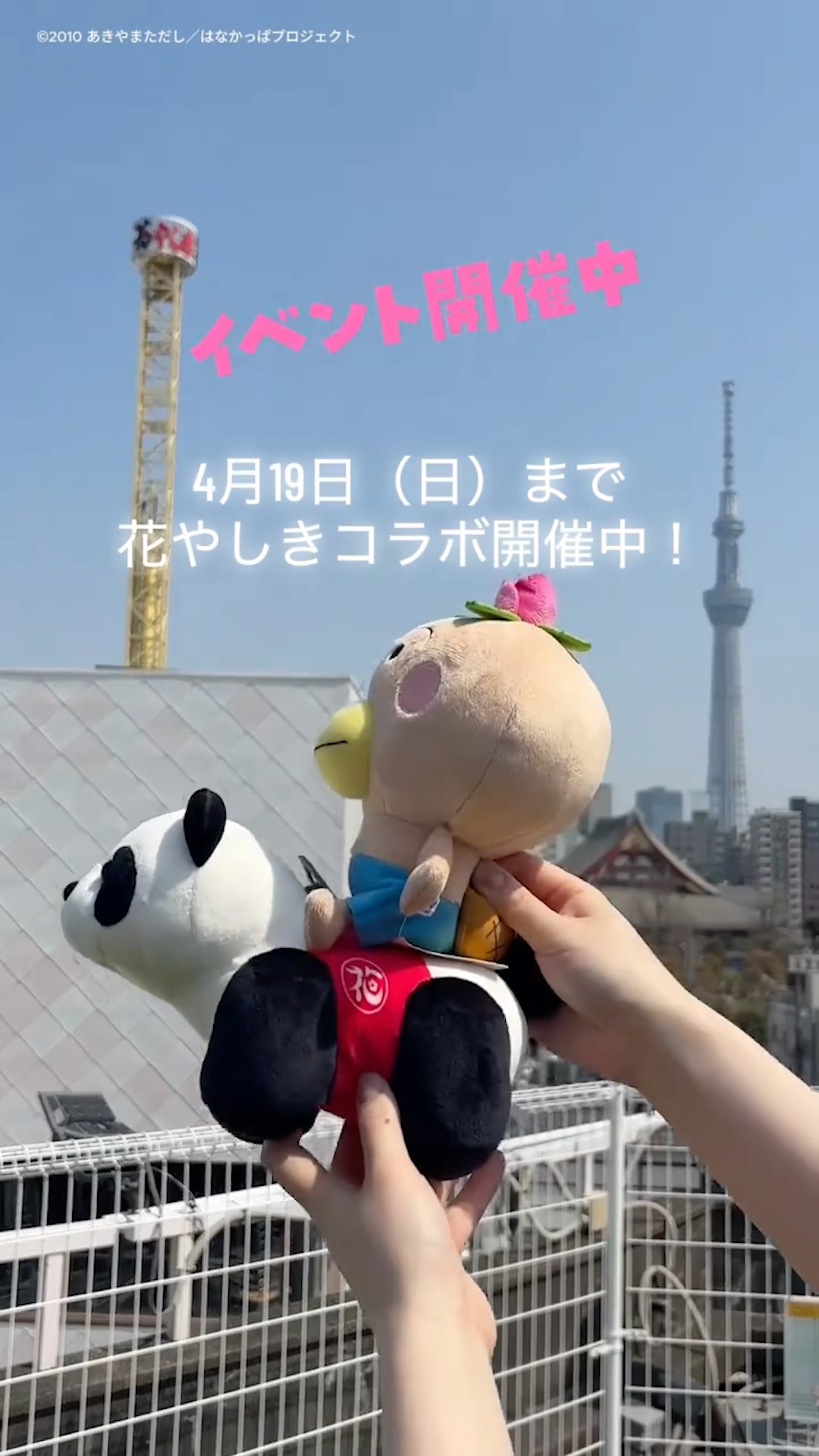 花さけ、パッカ〜ん♪花やしき】はなかっぱ×花やしき #vlog #はな