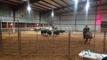 Sandra D - Ranch Sorting