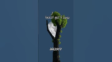 وخشعت الأصوات للرحمن فلا تسمع إلا همسات #أجمل تلاوة #قرآن #راحة نفسية