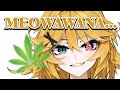 meowawana... - Dokibird Clip Highlights