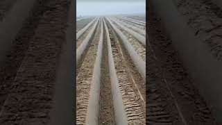 agricultural machinery for making hay and crops #shorts