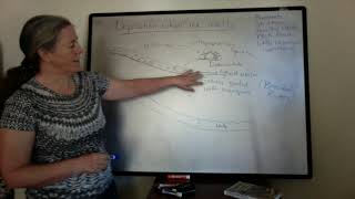 Glacial Deposition and Associated Environments (sed strat)