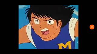 Meiwa vs furano