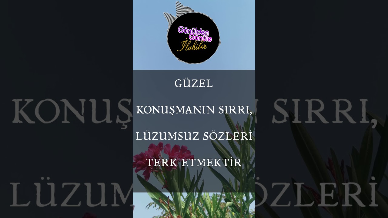 Günaydın Hadi Güne Güzel Bir İlahi İle Bismillah Diyelim #ilahi #ilahiler #ilahidinle #shorts