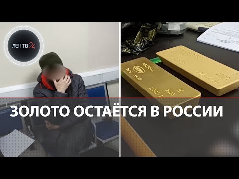 Контрабанда золота в слитках через Домодедово | 24 кг золота не дали вывезти из России