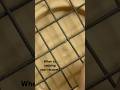 Time to replaced Badminton Strings #badminton #badmintonequipment #badmintonlovers #sports