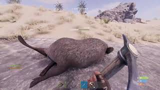rust is kinda peak