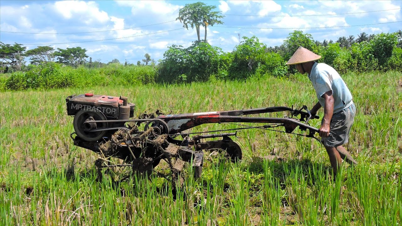 The Tractor Plows The Edge Of The Rice Field