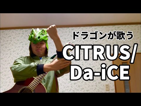 【ドラゴンが歌う】CITRUS/Da-iCE